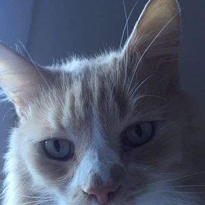 Meet your Posher, Linda